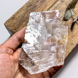 Rare Locality~Greek Optical High Shine Selenite Raw Free Form Specimen #1 - Earth Family Crystals