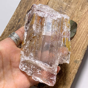 Rare Locality~Greek Optical High Shine Selenite Raw Free Form Specimen #2 - Earth Family Crystals