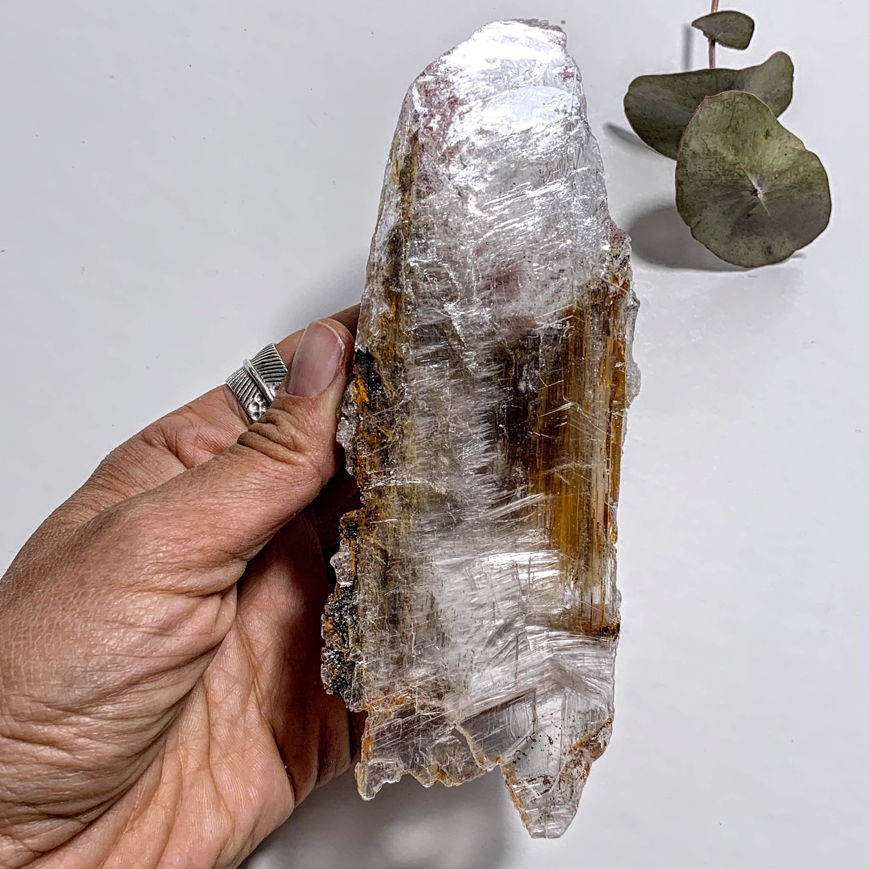 Rare Locality~Greek Optical High Shine Selenite Raw Free Form Specimen #3 - Earth Family Crystals