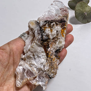 Rare Locality~Greek Optical High Shine Selenite Raw Free Form Specimen #3 - Earth Family Crystals