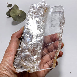 Rare Locality~Greek Optical High Shine Selenite Raw Free Form Specimen #1 - Earth Family Crystals