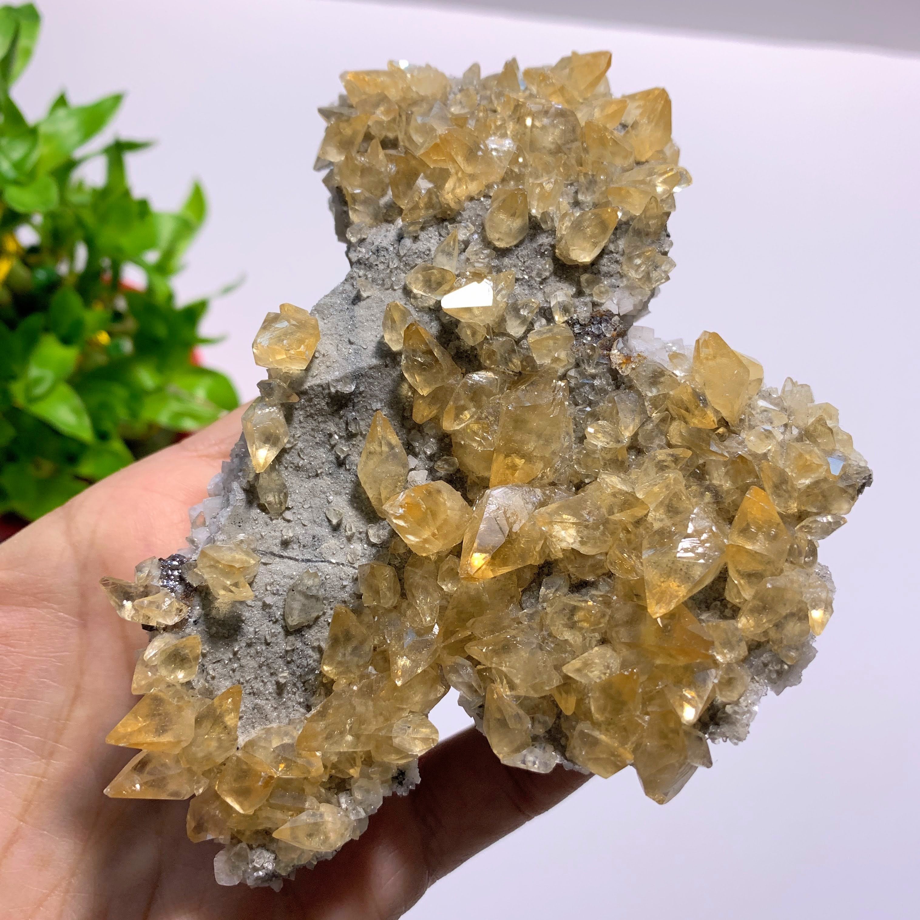 Elmwood Mine Large Golden Calcite Points on Matrix With Dolomite & Quartz Inclusions