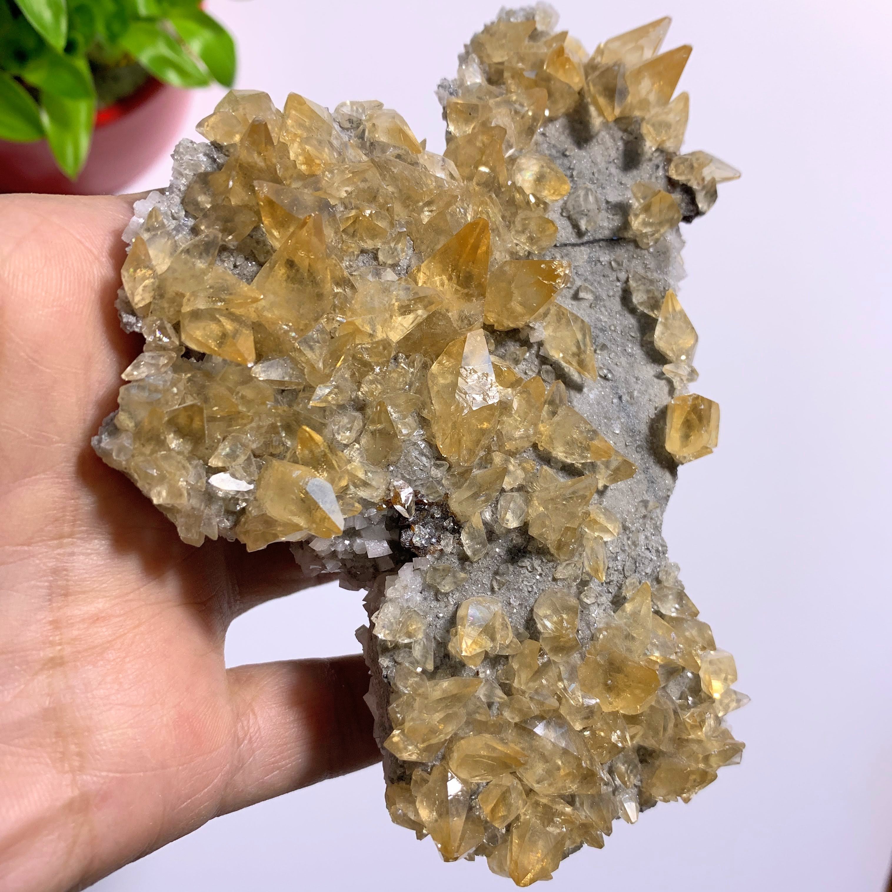 Elmwood Mine Large Golden Calcite Points on Matrix With Dolomite & Quartz Inclusions