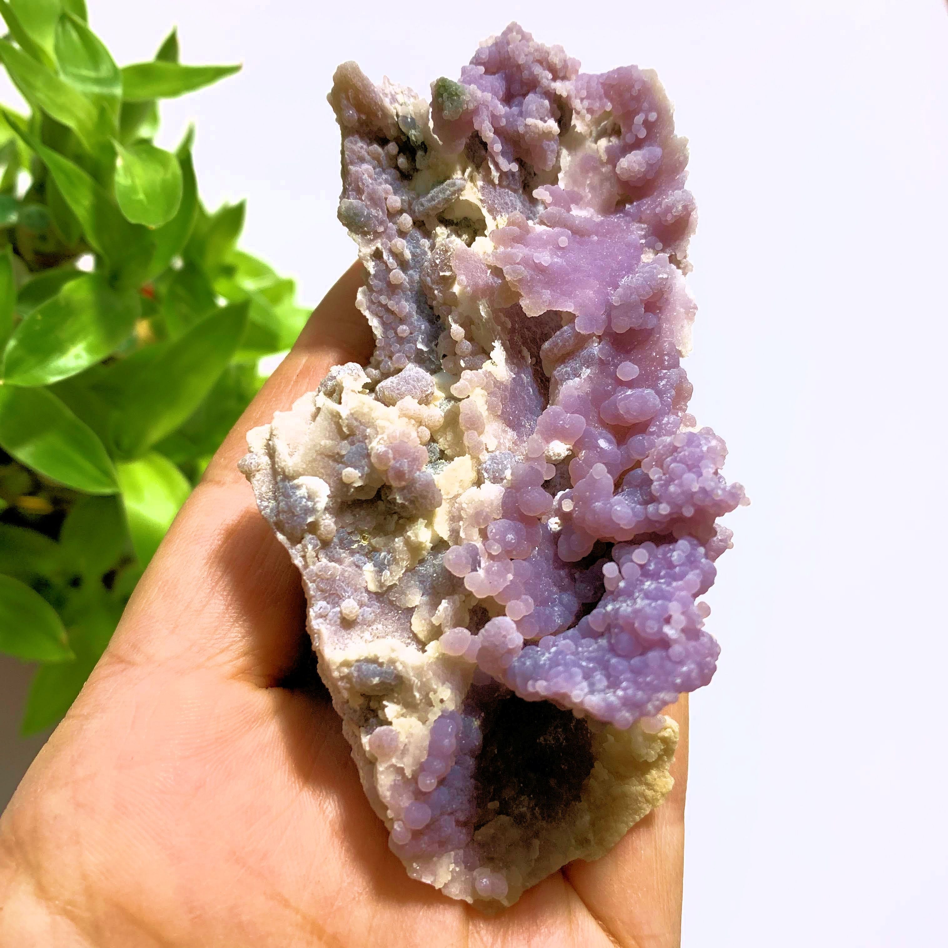Gorgeous Purple Grape Agate Specimen~Locality Indonesia