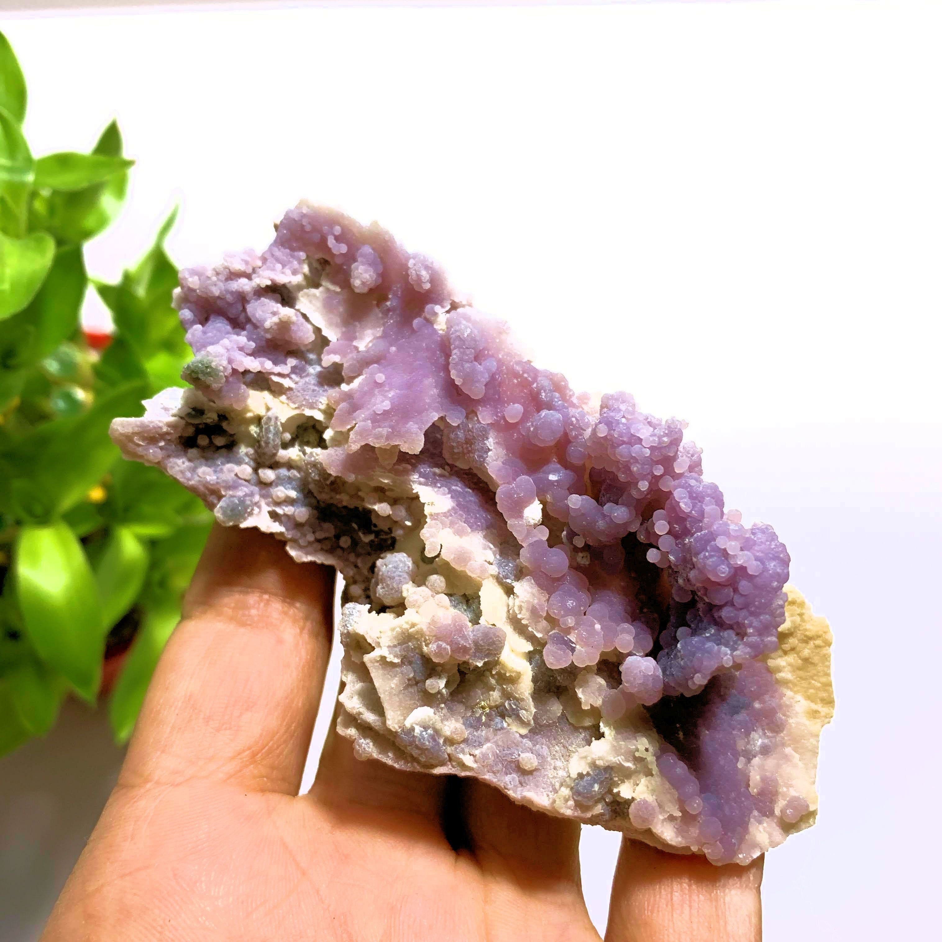 Gorgeous Purple Grape Agate Specimen~Locality Indonesia