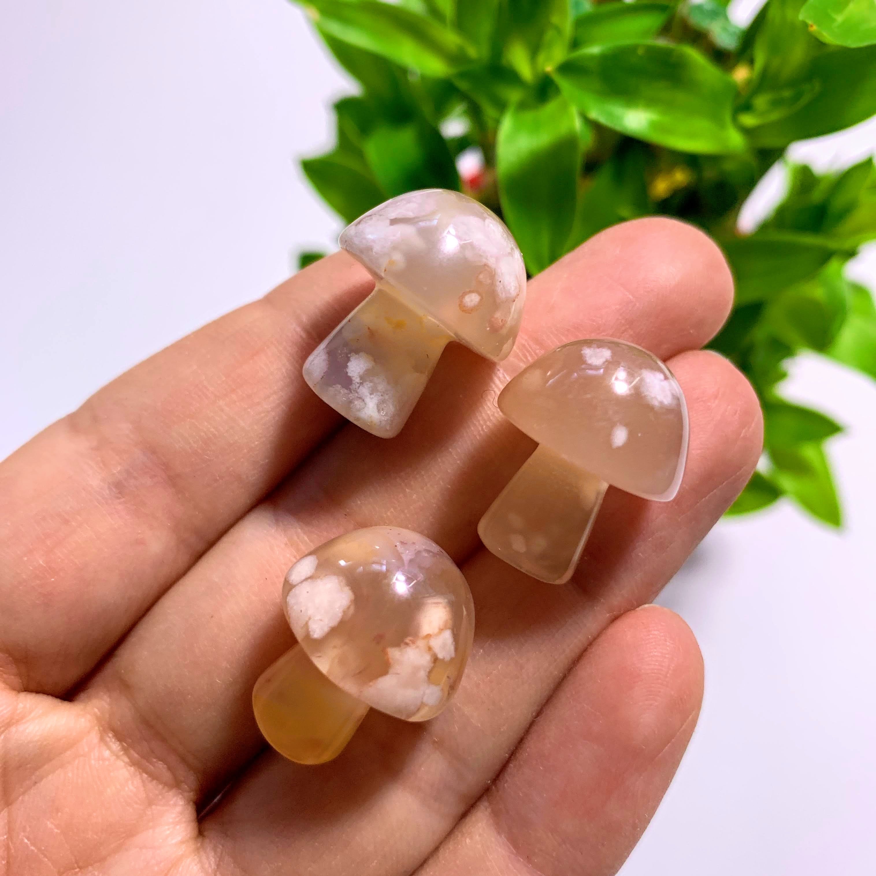 One Flower Agate Small Mushroom Carving ~Locality Madagascar