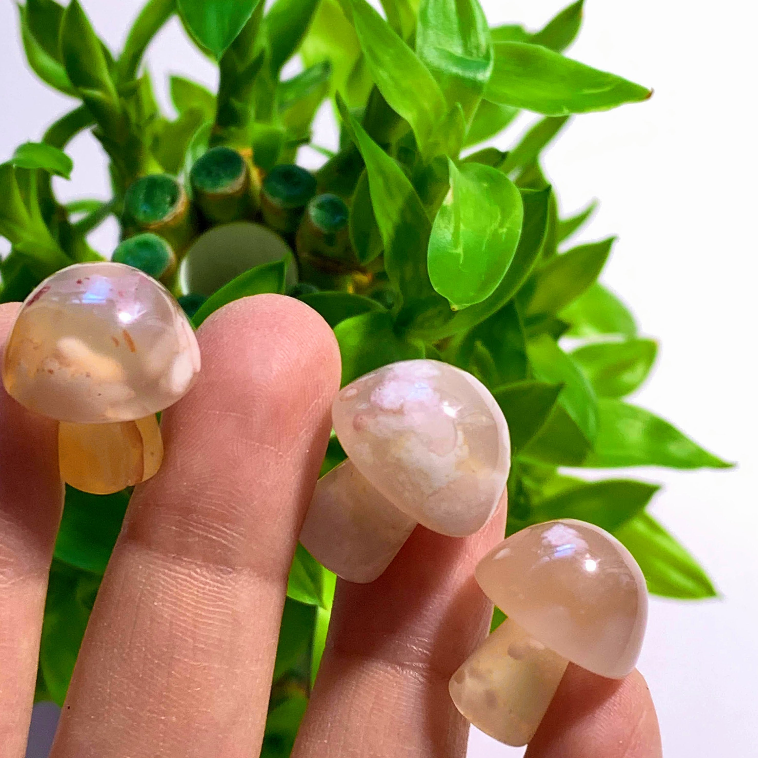 One Flower Agate Small Mushroom Carving ~Locality Madagascar