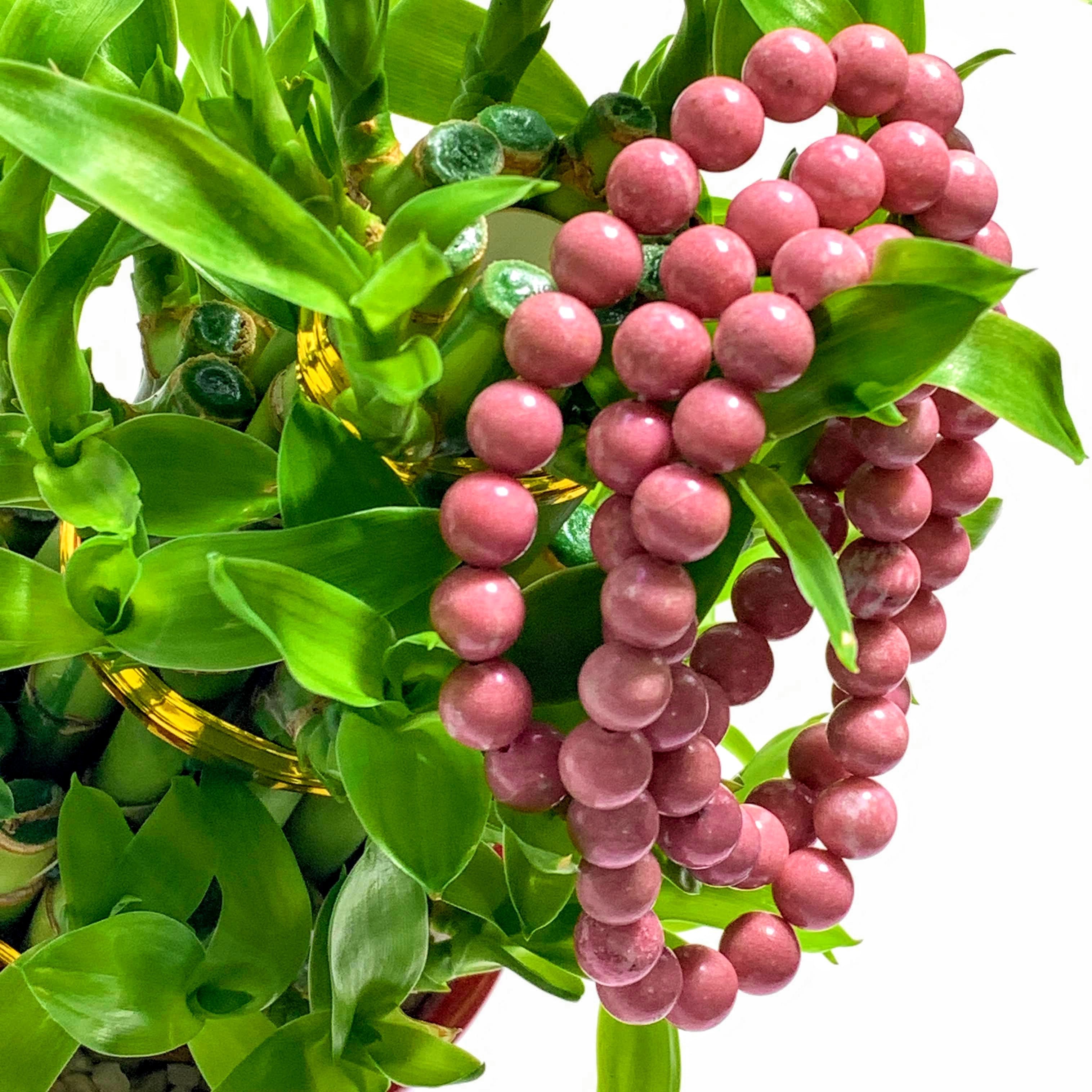 One Rare Greenland Thulite Rounded Bead Bracelet on Stretchy Cord