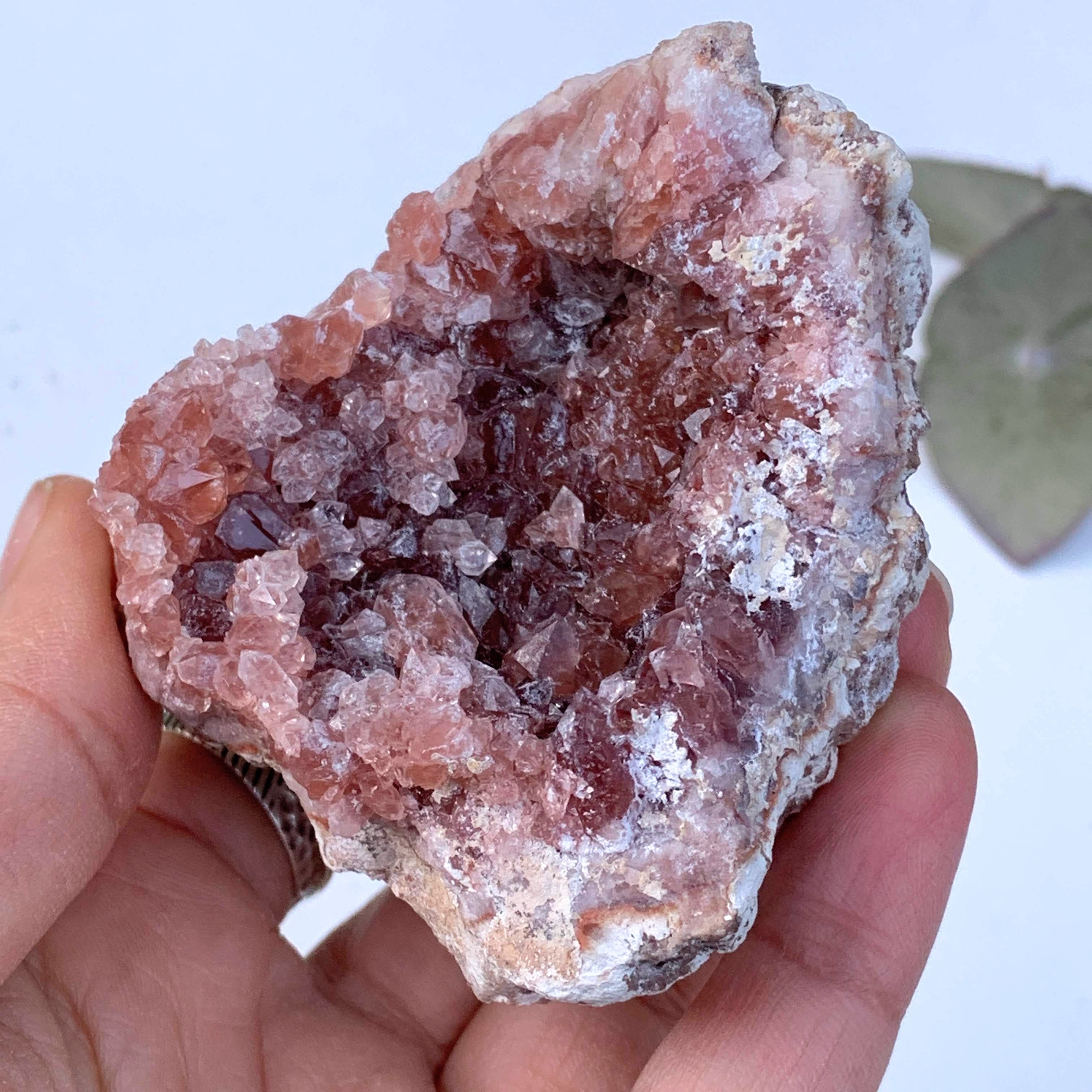 Gorgeous Druzy Magenta Pink Amethyst Geode Large Specimen From Patagonia - Earth Family Crystals