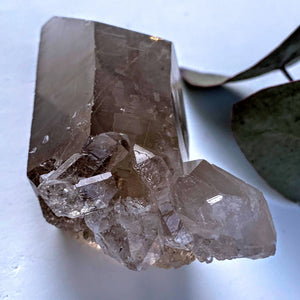Incredible Self Healed Rutilated Smoky Quartz Cluster From Brazil