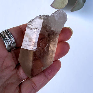 Incredible Self Healed Rutilated Smoky Quartz Cluster From Brazil