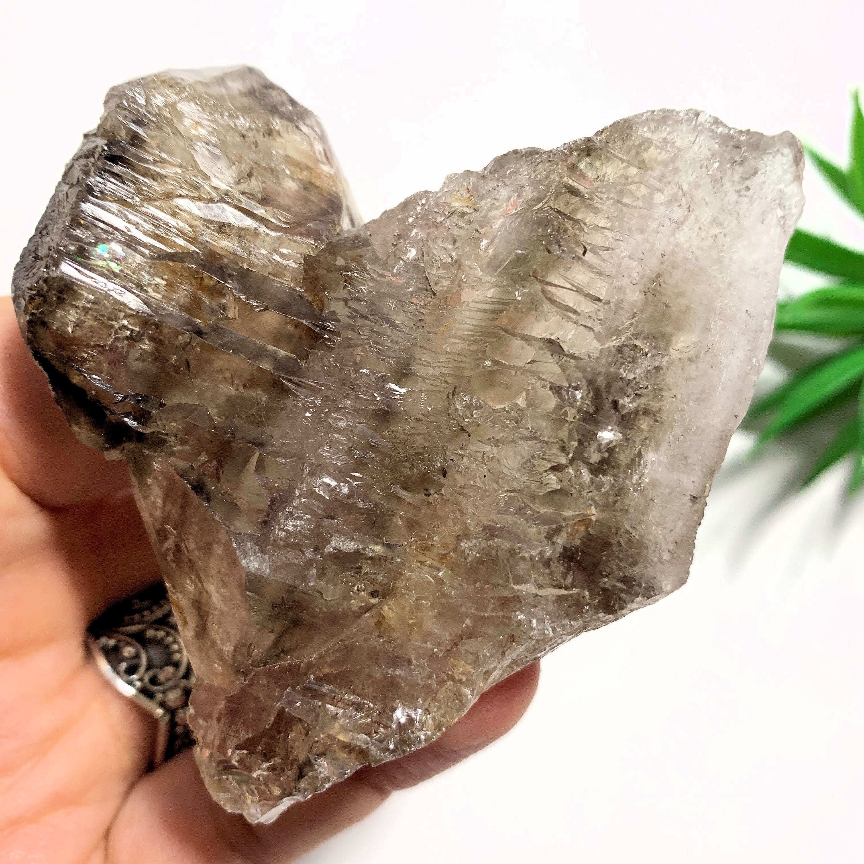 Earth Etched Natural Smoky Quartz Specimen From Brazil