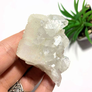 Unique Glimmering Quartz Frosted Calcite With Apophyllite From India