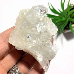 Unique Glimmering Quartz Frosted Calcite With Apophyllite From India