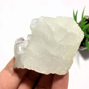 Unique Glimmering Quartz Frosted Calcite With Apophyllite From India