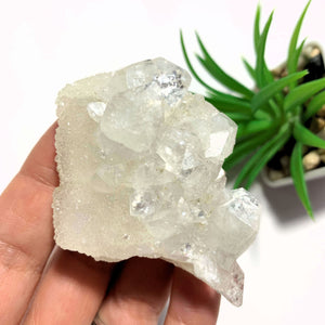 Unique Glimmering Quartz Frosted Calcite With Apophyllite From India