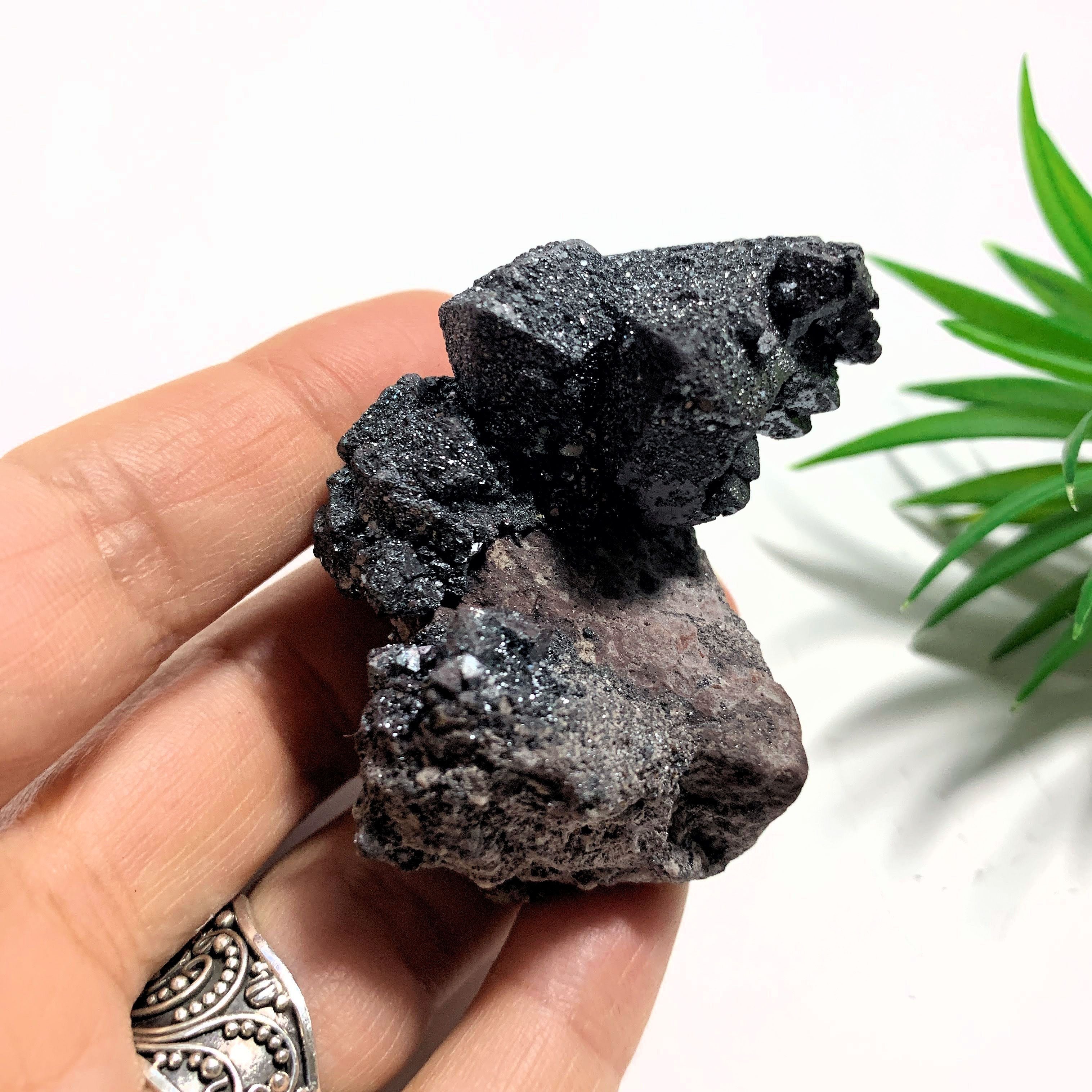 Rare Pseudomorph Formation~ Glimmering Magnetite Specimen (Formed After Hematite) On Matrix