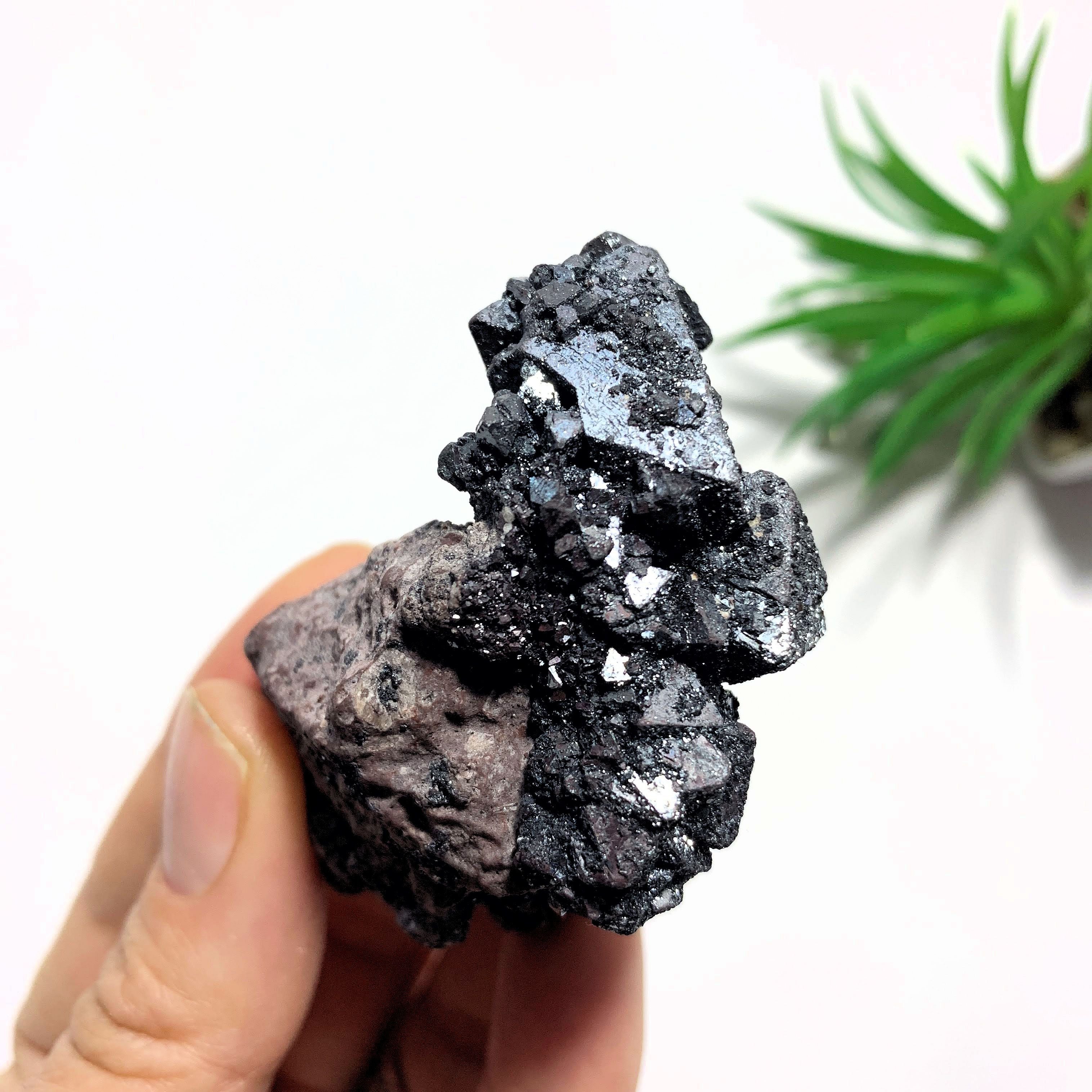 Rare Pseudomorph Formation~ Glimmering Magnetite Specimen (Formed After Hematite) On Matrix