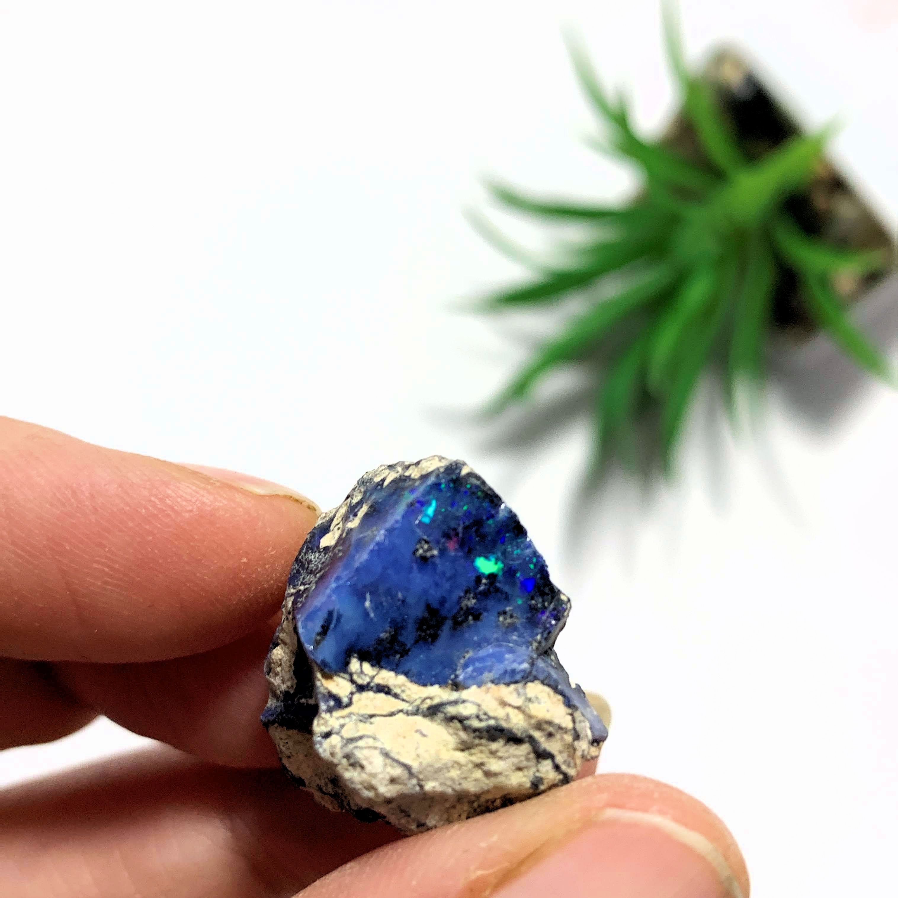 Rare Blue Ethiopian Opal Raw & Natural Collectors Specimen