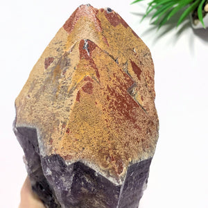 1.4kg~Incredible XL Red Hematite Capped Tip & Deep Purple Genuine Auralite-23 From Canada