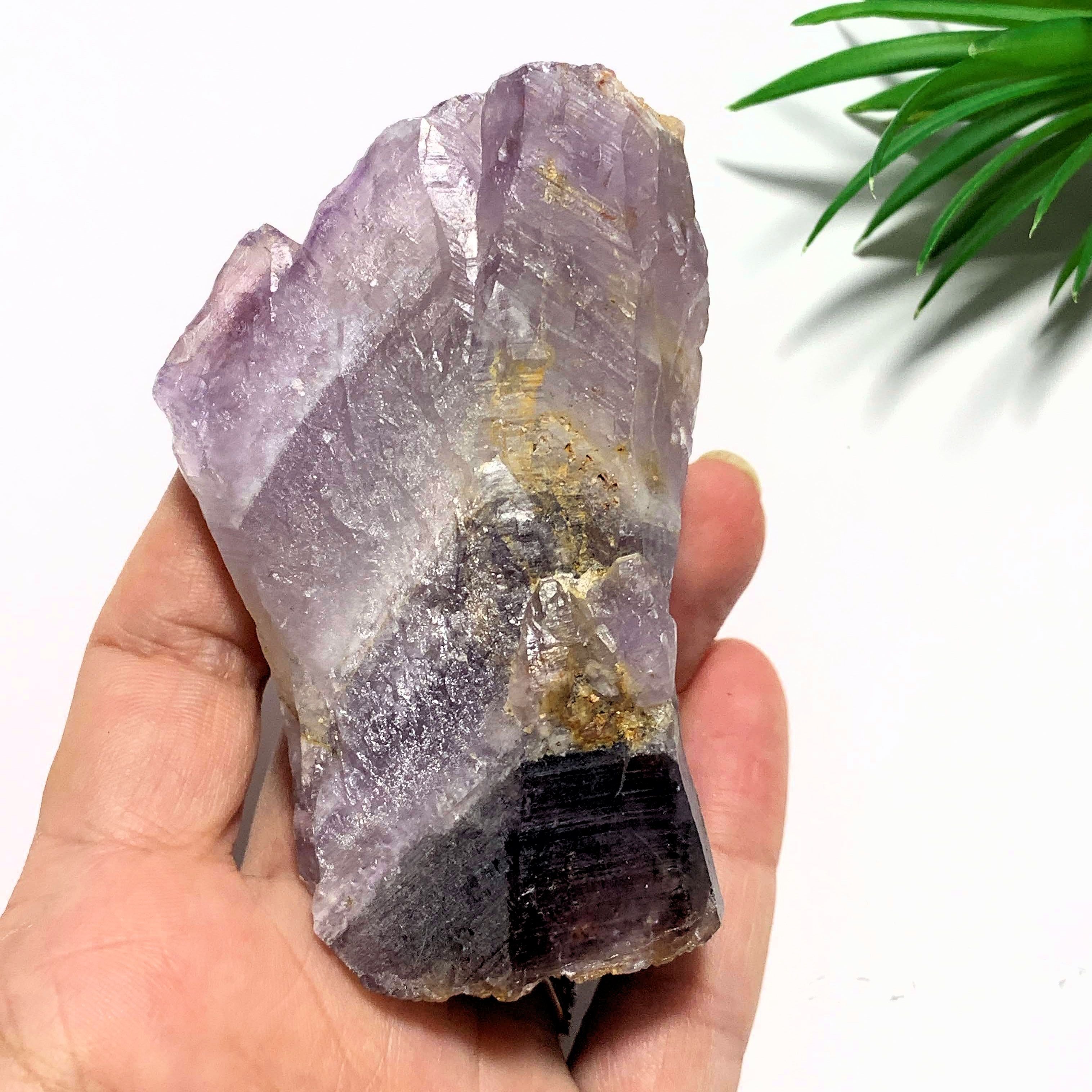 Pretty Purple Color Contrast Genuine Auralite-23 Self Healed Point from Canada