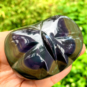 Adorable Butterfly Rainbow Obsidian Display Specimen from Mexico - Earth Family Crystals