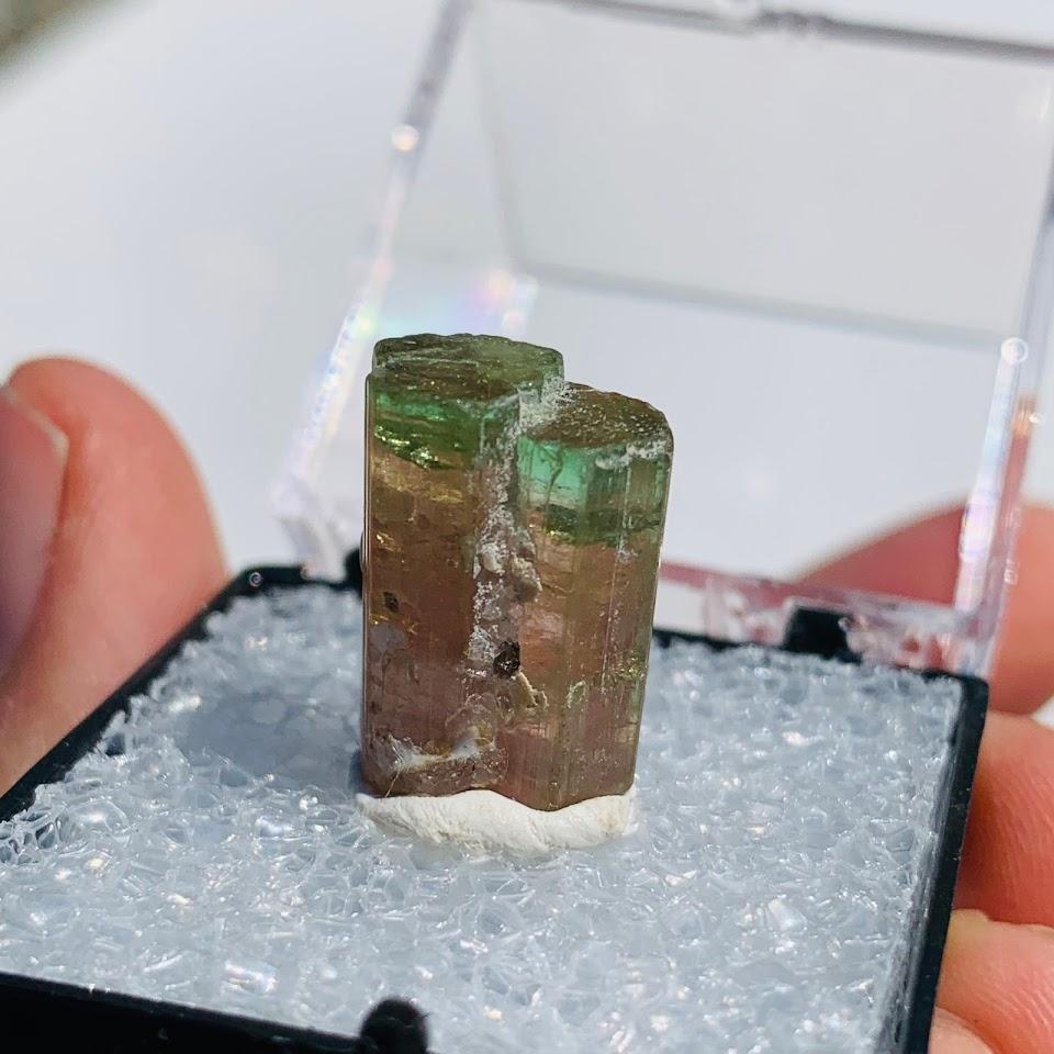 Rare Gemmy Watermelon Tourmaline Point From Brazil in Collectors Box #4 - Earth Family Crystals