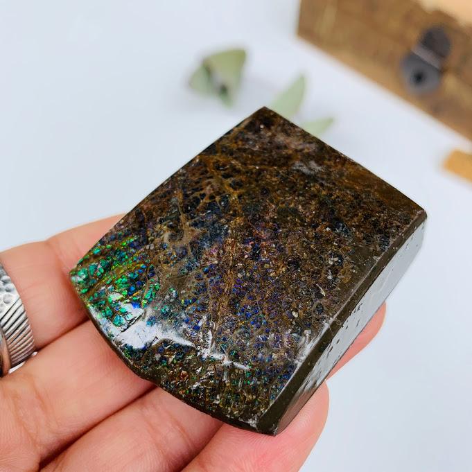 Rare Purple & Green Sparkling Flash Alberta Chunky Ammolite Free Form - Earth Family Crystals