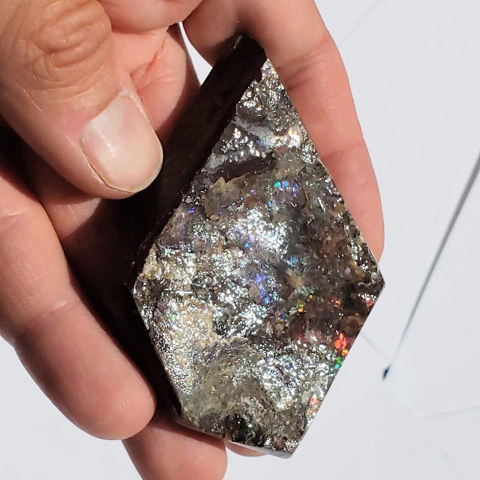 Chunky Alberta Ammolite Fossil Free Form Hand Held Specimen #2 - Earth Family Crystals