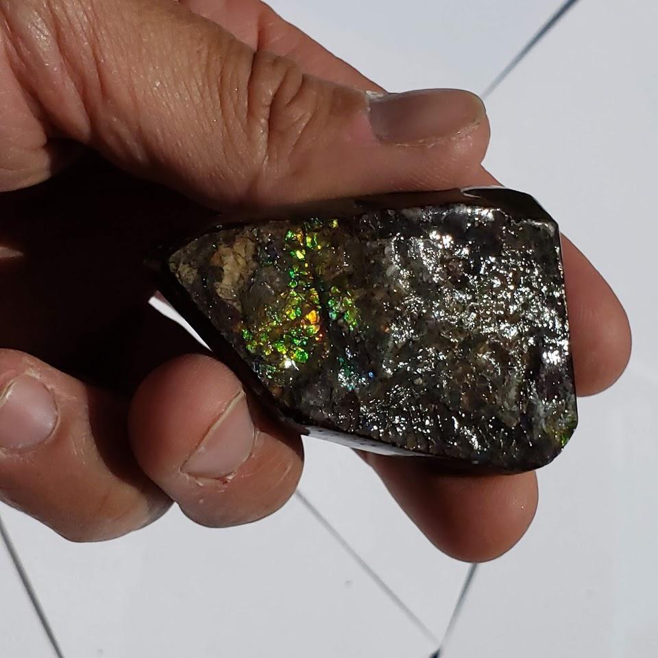 Chunky Alberta Ammolite Fossil Free Form Hand Held Specimen #4 - Earth Family Crystals