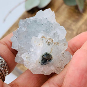 Sparkly Quartz Point Cluster From India