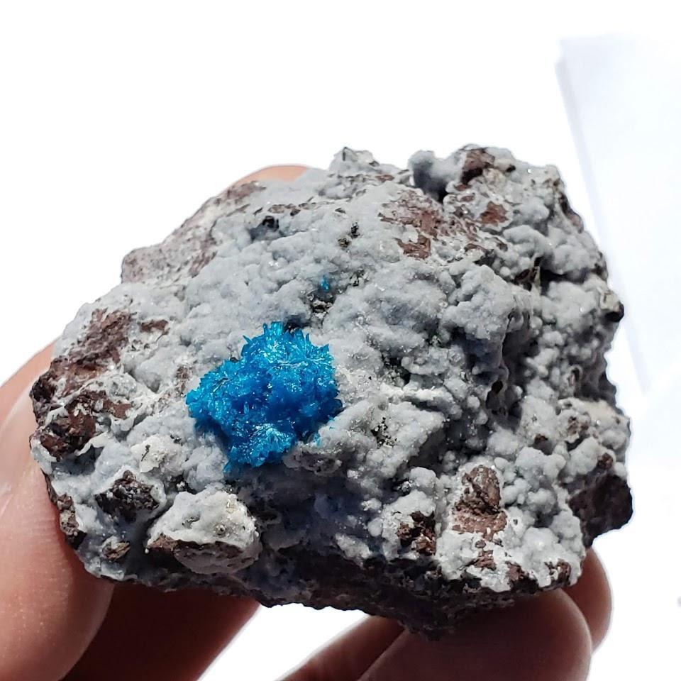 Electric Blue Natural Cavansite Crystal Nestled in Rock Matrix From India - Earth Family Crystals
