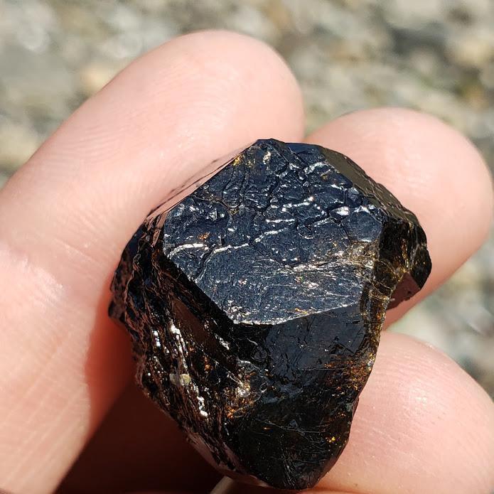 Deep Burgundy Andradite Garnet from Mexico in Collectors Box - Earth Family Crystals