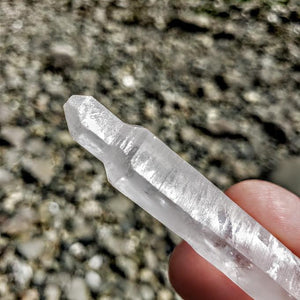 Sceptre DT Tibetan Quartz Point Specimen