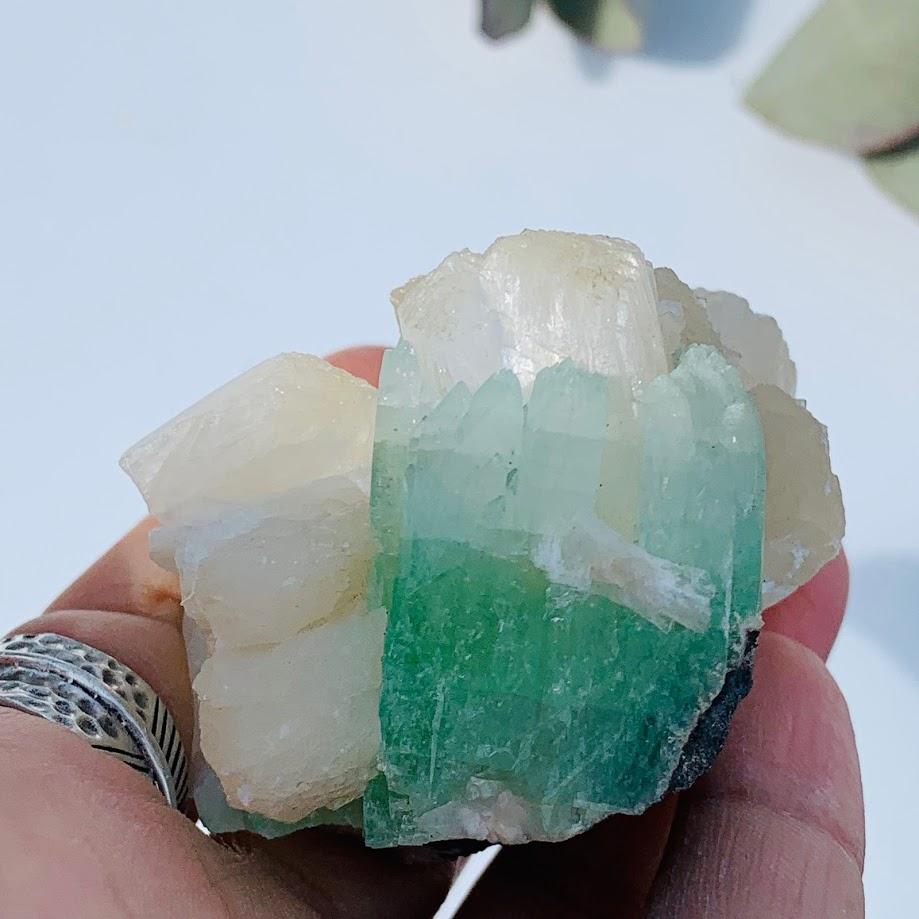 Gemmy Green & Clear Apophyllite Cluster With Stilbite Inclusions from India #10 - Earth Family Crystals