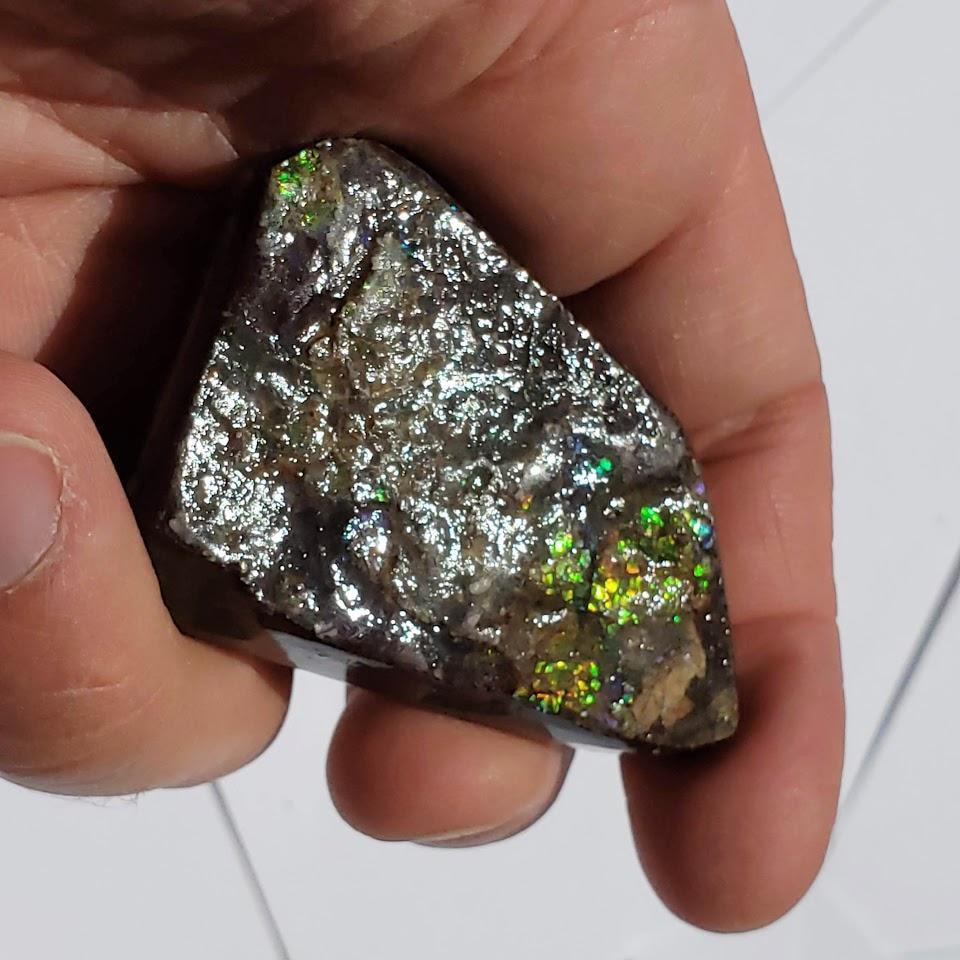 Chunky Alberta Ammolite Fossil Free Form Hand Held Specimen #4 - Earth Family Crystals