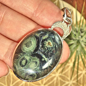 Forest Green Swirls Kambaba Jasper Sterling Silver Pendant (Includes Silver Chain) - Earth Family Crystals