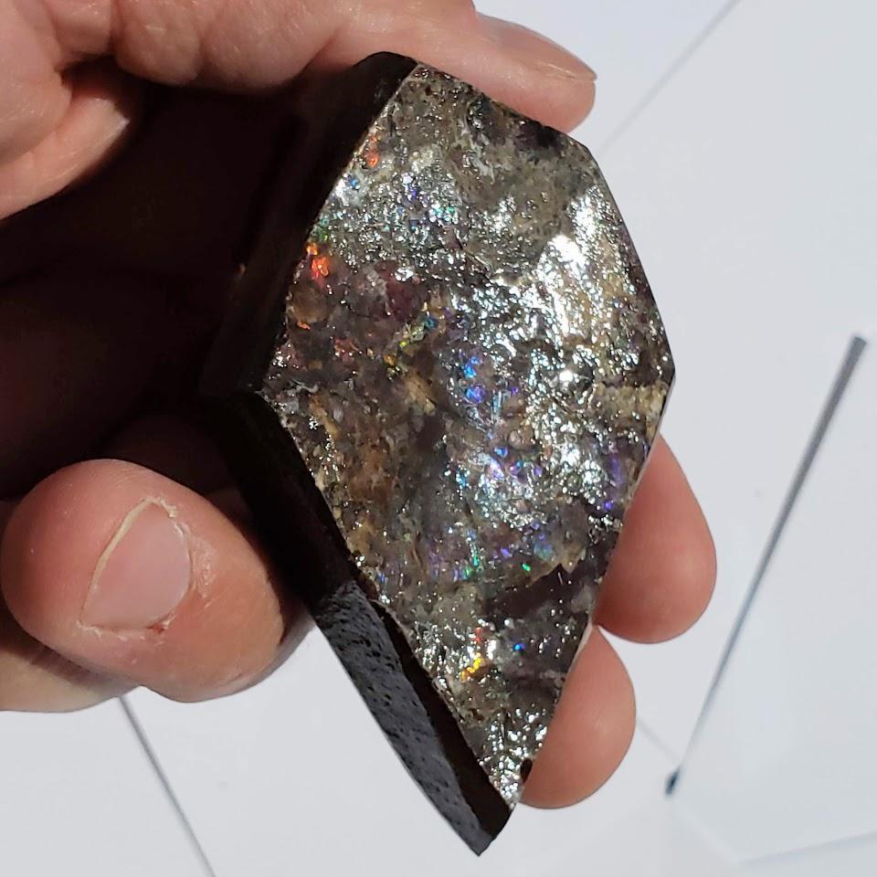 Chunky Alberta Ammolite Fossil Free Form Hand Held Specimen #2 - Earth Family Crystals