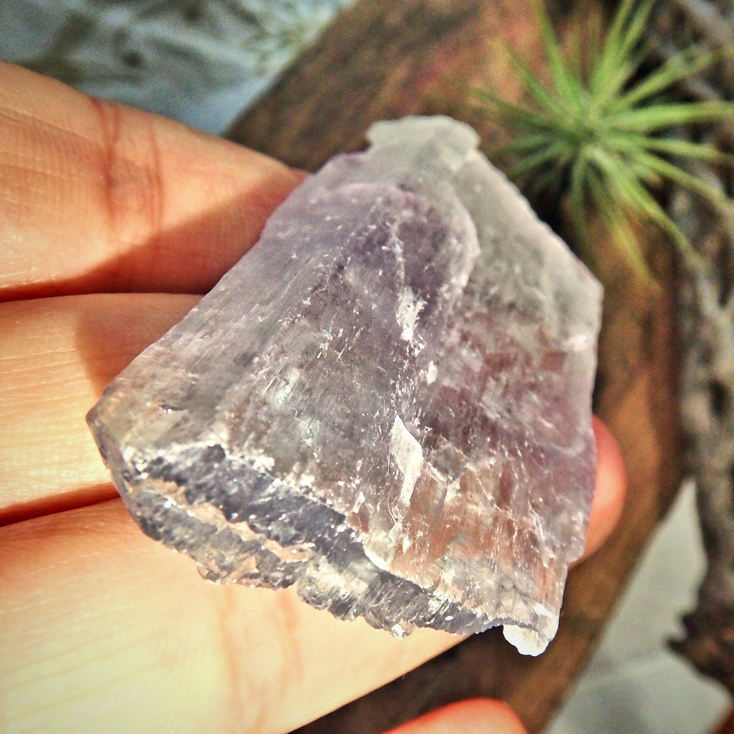 Purple & Clear Kunzite Specimen Natural Specimen