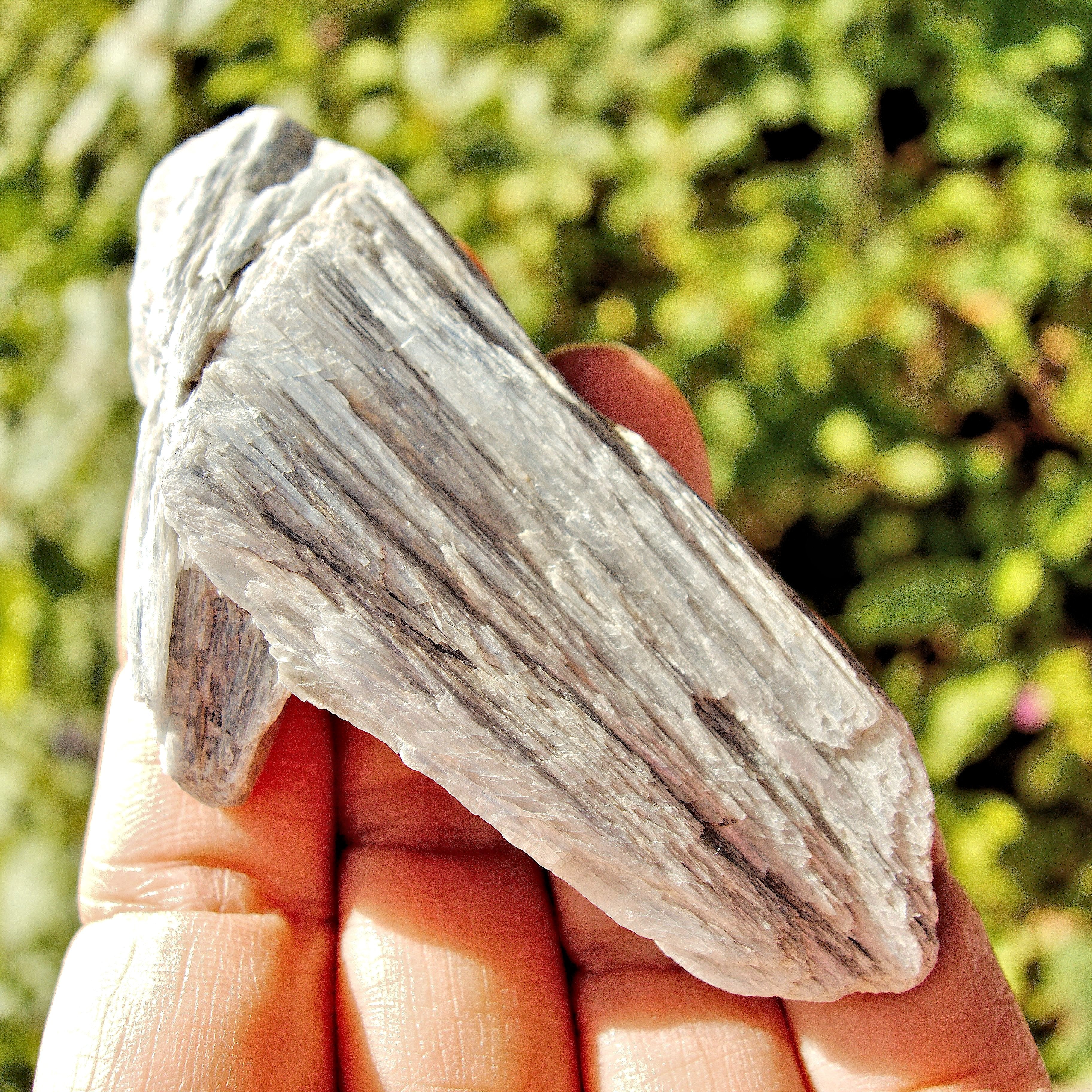 Raw & Natural Blue Kyanite Cluster From Brazil #1 - Earth Family Crystals