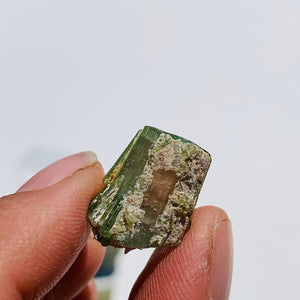 Rare Gemmy Watermelon Tourmaline Point From Brazil in Collectors Box #1 - Earth Family Crystals