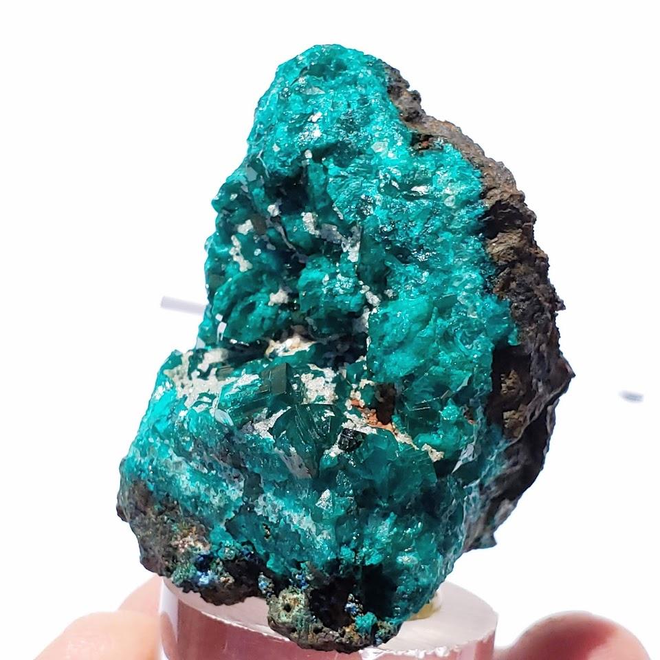 Rare Dioptase Collectors Specimen From Katanga Provine, Congo~ Mounted on Clear Display Stand - Earth Family Crystals