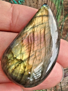 Pretty Teardrop Peachy Pink & Golden Flash Labradorite Cabochon - Earth Family Crystals