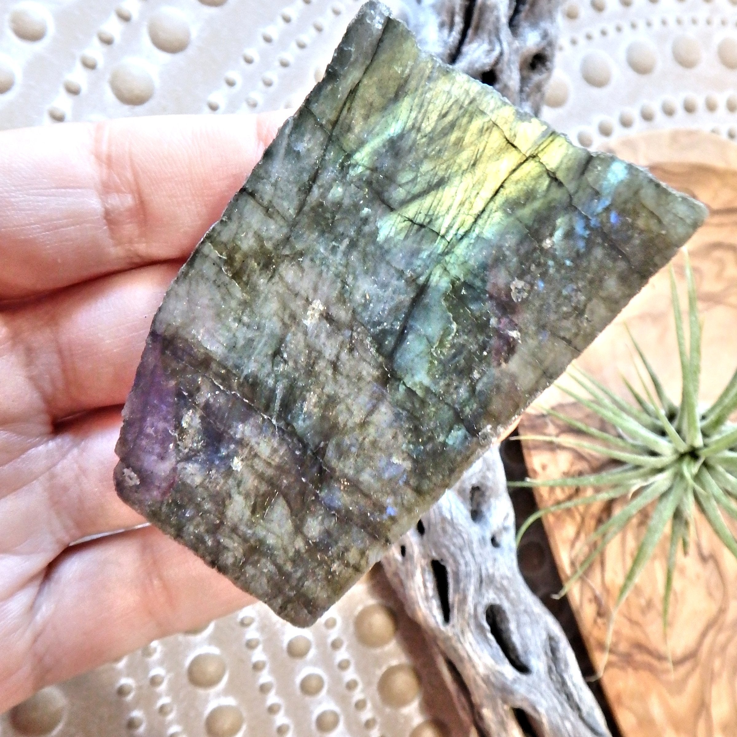 Lifted Spirit Partially Polished Labradorite Standing Specimen - Earth Family Crystals