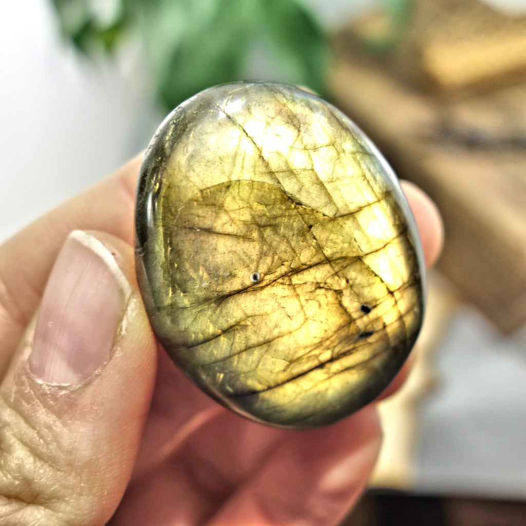 Vibrant Orange Flash Labradorite Palm stone 2 - Earth Family Crystals