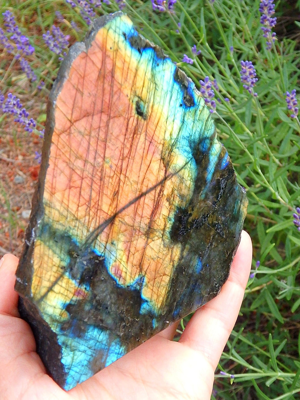 Fabulous Flashes~Large Partially Polished Labradorite Display Specimen - Earth Family Crystals