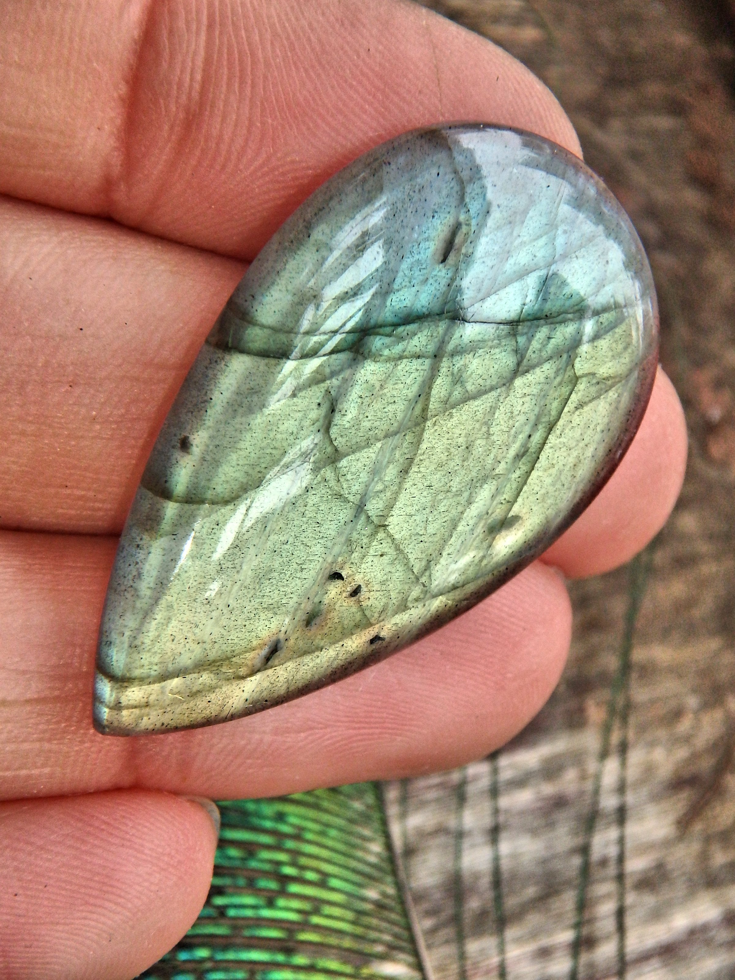 Stunning Moving Gold Flash Raindrop Shape Labradorite Cabochon - Earth Family Crystals