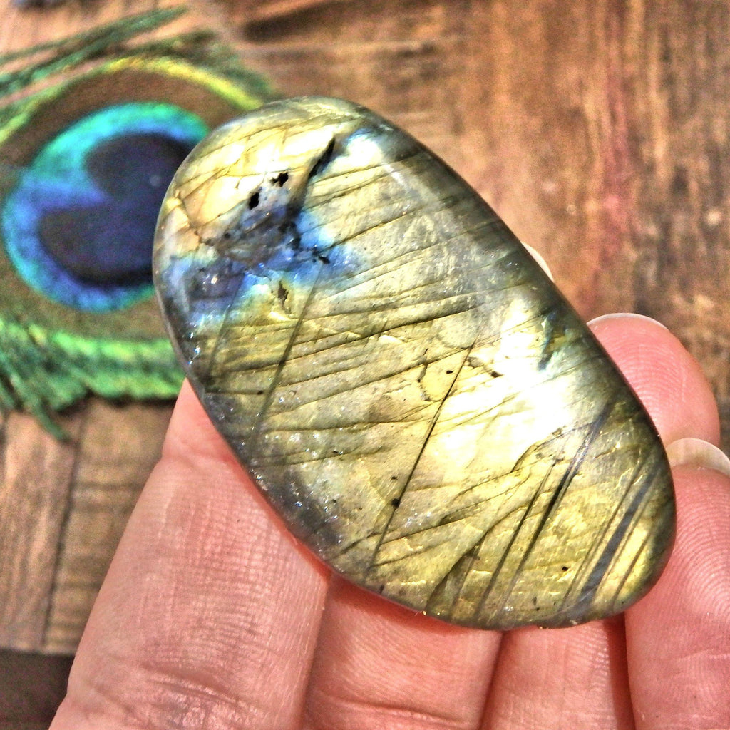 Brilliant Yellow Flash Labradorite Palm Stone 8 - Earth Family Crystals