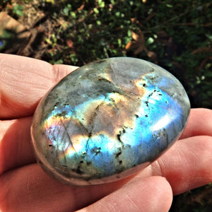 Rainbows of Flashes Labradorite Smooth Palm Stone1 - Earth Family Crystals