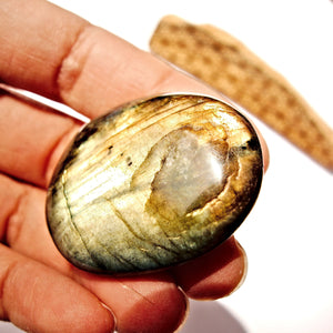 Intense Double Sided Flashes Labradorite Palm Stone #2